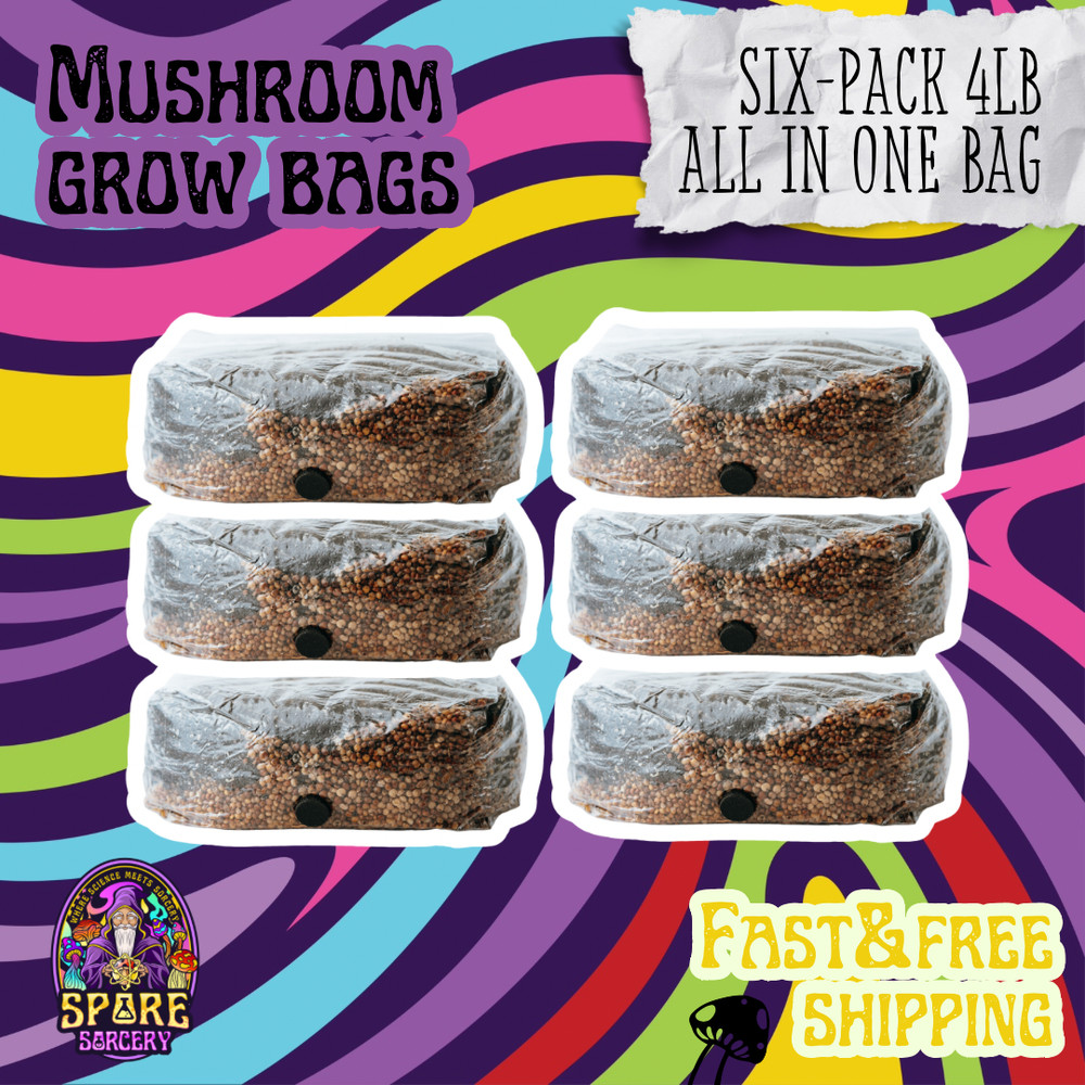 6 Pack | 4LB All-In-One Mushroom Grow Kit | Mushroom Grow Bag