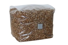 (3) Mushroom Rye Grain Spawn Bag Sterilized with Injection Port Grow Mushrooms
