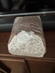 X4 AIO Mushroom Grow Bags – Inj Port, 12 lbs