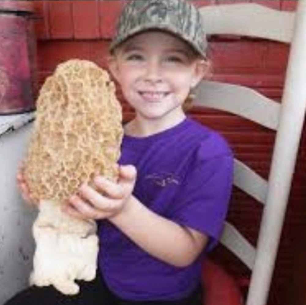 2 Pack! Morel Mushroom- Garden Grow Kit- Guaranteed! Free Shipping!