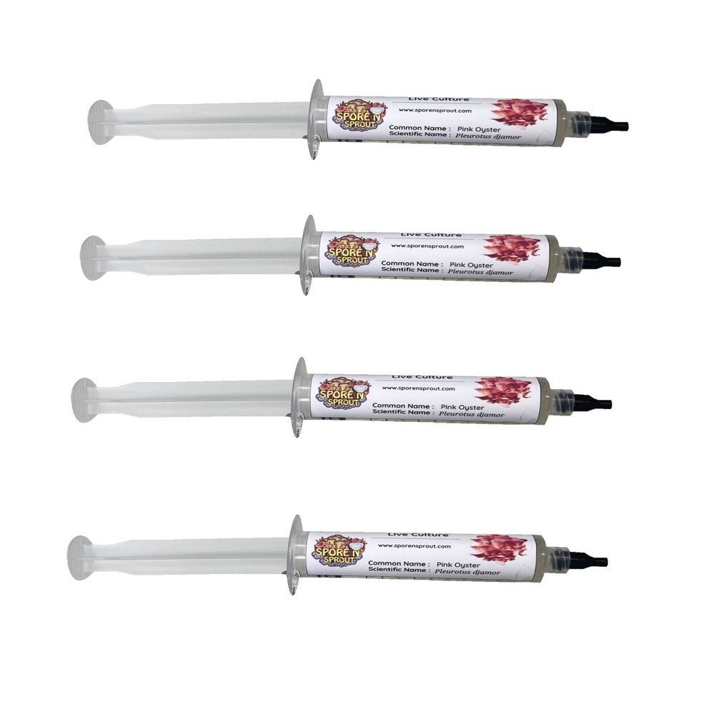 4 Pack of Pink Oyster Gourmet Mushroom Liquid Culture