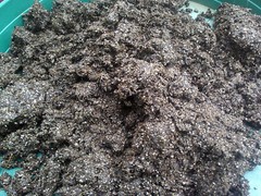 Mushroom Manure Based Substrate 20 lbs Pastureized Free Shipping