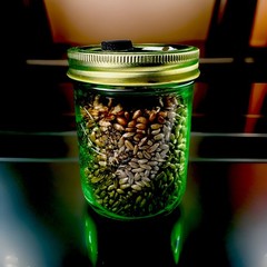 Pre-Steriled Rye Grain Jars – 16oz Quality Mason Jar W Inj Port And Filter
