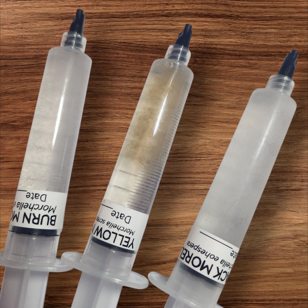 MOREL MUSHROOM 3 Pack Liquid Syringes, Burn, Yellow and Black Morel