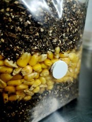 Premium Exotic Dung ALL-IN-ONE Mushroom Grow Kit 1 Pack Kit 3.5lb Bag (CORN) 🍄
