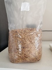 Unicorn Bag 10T for Mushroom Growers 50 count FREE SHIPPING