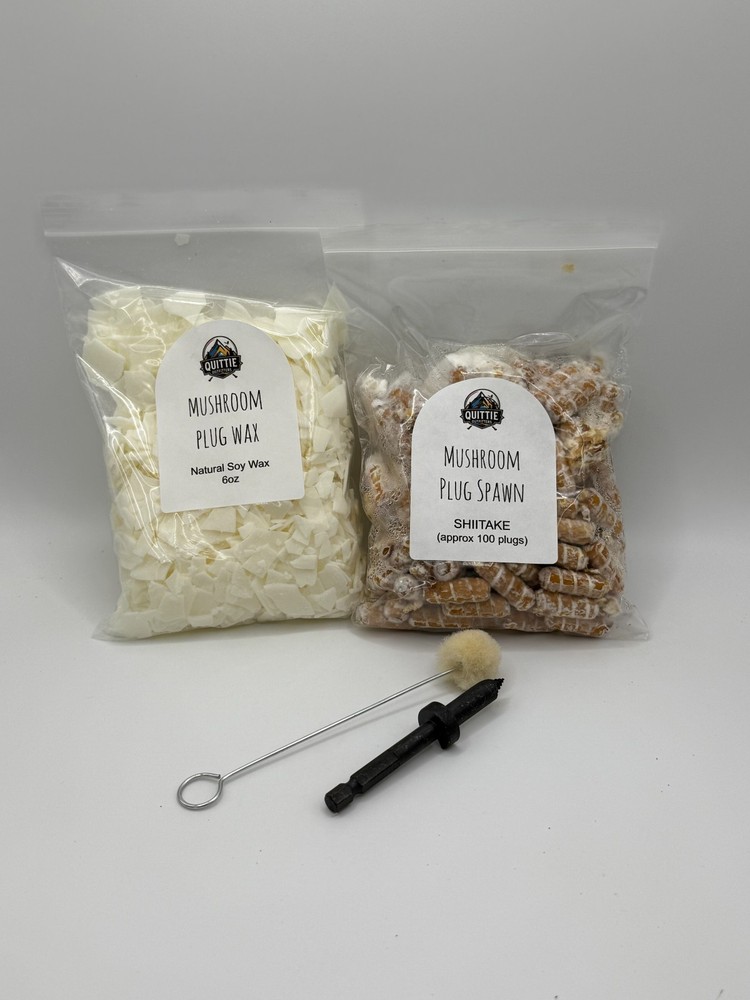 Shiitake Mushroom Plug Spawn Kit – 100x