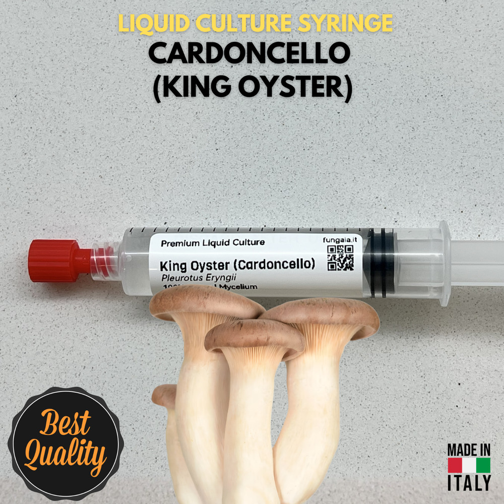 Cardoncello (King Trumpet) Liquid Culture 10ml – Mycelium Gourmet Mushrooms