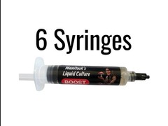 Mushroom Liquid Culture Nutrient BOOST (6 Syringes)