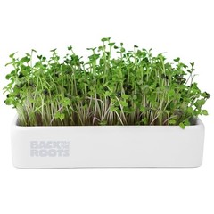 Organic Microgreens Grow Kit with Ceramic Planter, Microgreen Ceramic Kit