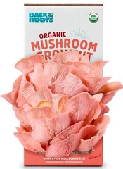 Back To The Roots Organic Pink Oyster Mushroom Grow Kit Harvest Gourmet Fungi