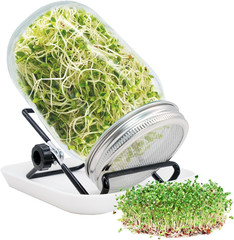 Sprouting Jar, Sprouts Growing Kit, Mason Jar for Bean Sprouts Grow, Seed Sprout