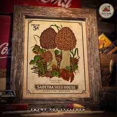 Vintage Kansas Seed Packet Morel Mushrooms Art Print 11×14 Kitchen Wall Decor