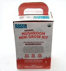 Back To The Roots Organic Pink Oyster Mushroom Grow Kit Harvest Gourmet Fungi