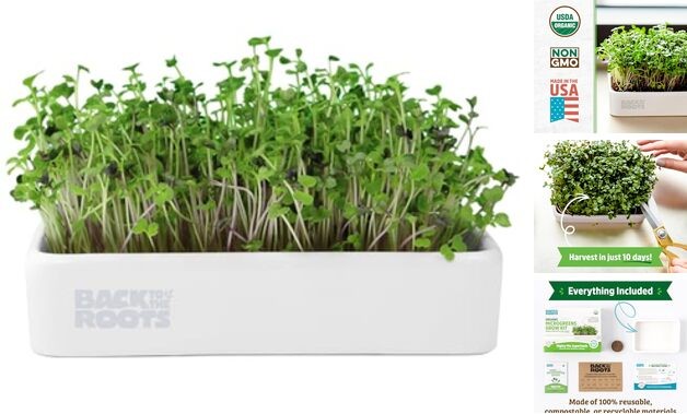 Organic Microgreens Grow Kit with Ceramic Planter, Microgreen Ceramic Kit