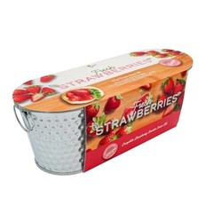 Seeds Strawberry Grow Kit Easy Indoor Windowsill Garden with Decorative Metal