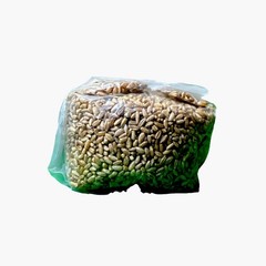 Complete DubTub XL Mushroom Grow Kit