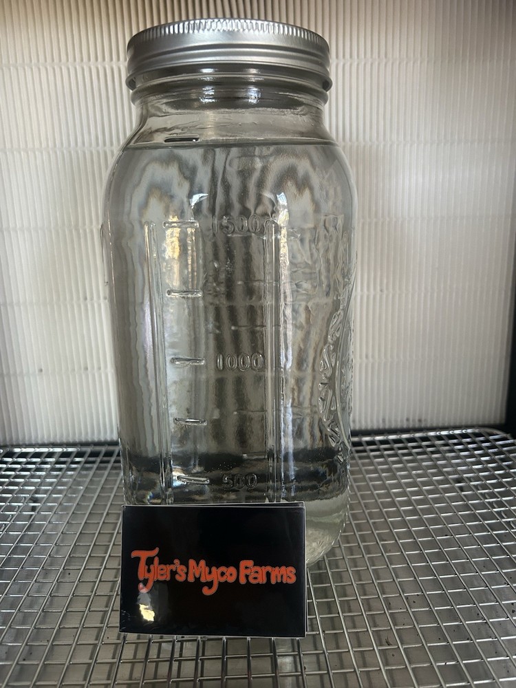 XXXL 2000 mL Liquid Culture
