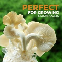 40 Pack, Mushroom Grow and Spawn Bags – Extra Thick Polypropylene Material, T…