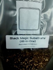 Premium Exotic Dung ALL-IN-ONE Mushroom Grow Kit 1 Pack Kit 3.5lb Bag (CORN) 🍄