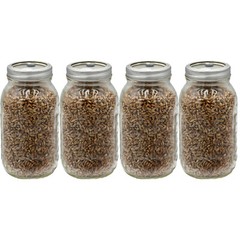Four Quart Jars of Sterilized Rye Grains with Self Healing Injection Ports