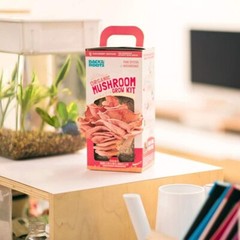 Kit De Cultivo De Hongos Rosados Organicos, Cosecha Hongos Gourmet En 1