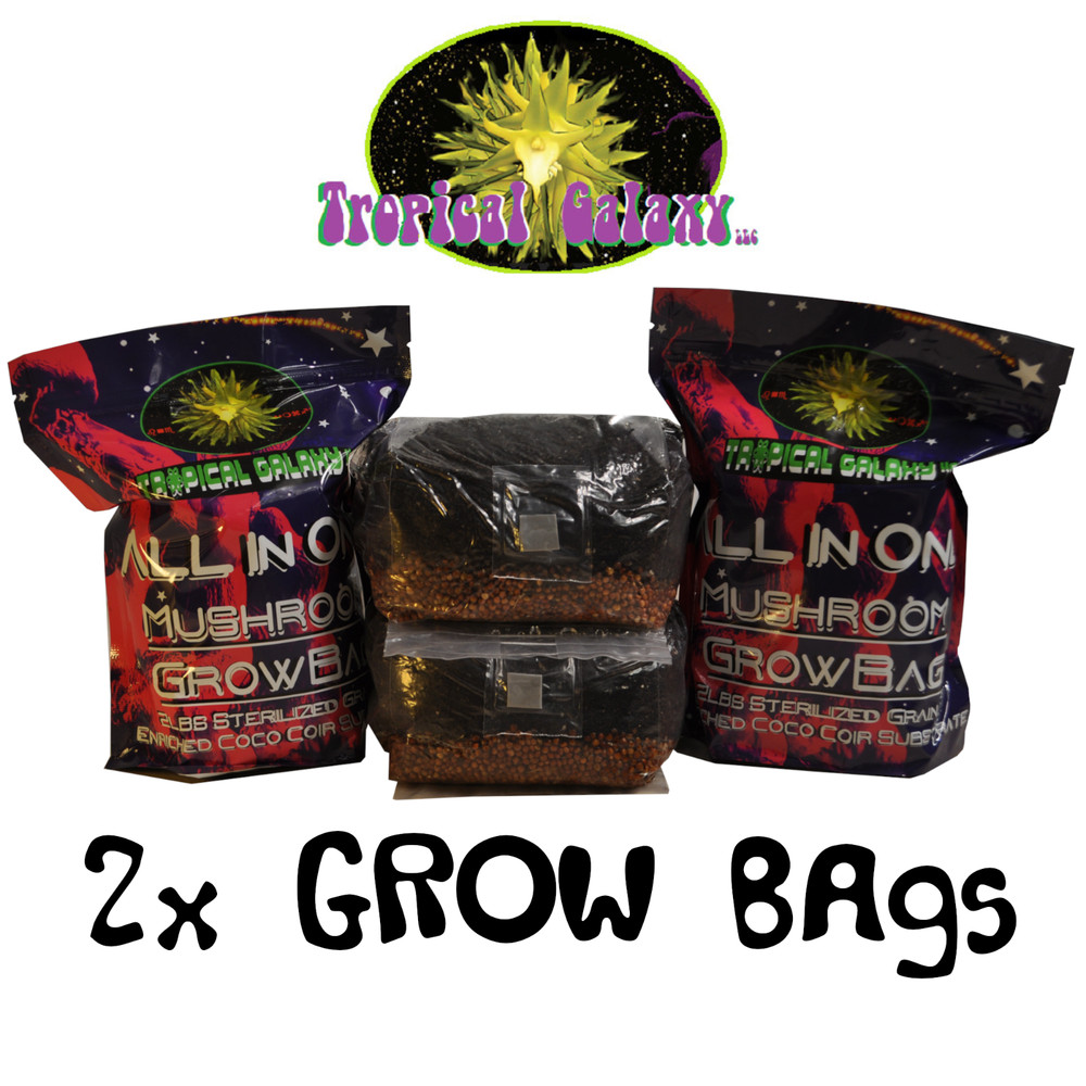 Double The Mushroom Bags, 2x 2lb All-in-One Grow Bags ( Just Add Spores)