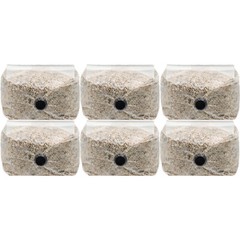BRF Bags Brown Rice Flour Based Mushroom Substrate (6 pack)