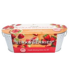 Seeds Strawberry Grow Kit Easy Indoor Windowsill Garden with Decorative Metal