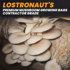Thickened 6 Mil Mushroom Grow Bags – Breathable & Tear-Resistant – 100 Count