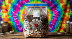 5lb Magic Mushroom All in One CVG Grow Bag with Grain – Ready to Inoculate