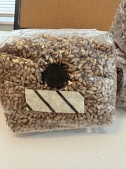 3 Pack Sterile Grain Bags For Growing Mushrooms