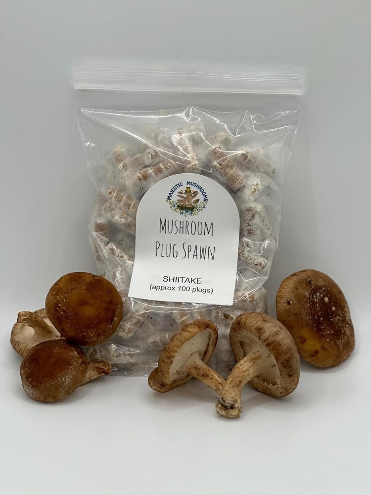 Shiitake Mushroom Plug Spawn 100x- FREE USA shipping