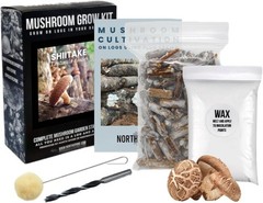 Log Starter Kit for Growing Organic Shiitake Mushrooms – 100 Plug Spawn Included