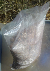 Mushroom CVG Substrate Coco Coir Vermiculite Gypsum 20lbs Pastureized Free Ship