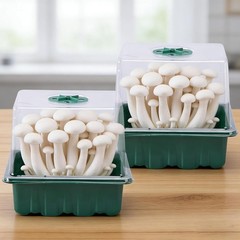 4 Pack Monotub Mushroom Grow Kit, 6.5″ X 5″ X 6.5″ Small Mushroom Fruiting Chamb