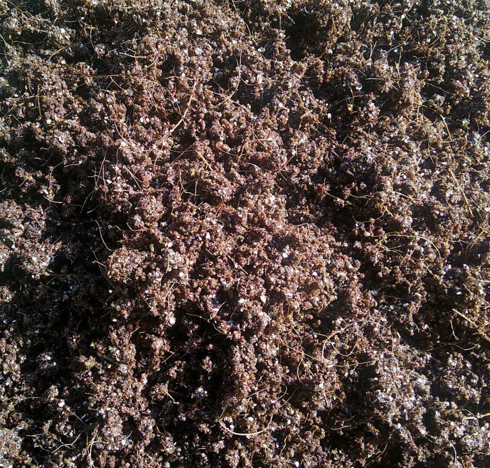 Mushroom CVG Substrate Coco Coir Vermiculite Gypsum 20lbs Pastureized Free Ship