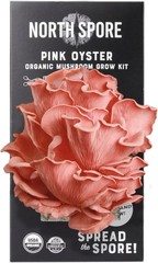 Beginner-Friendly Pink Oyster Mushroom Grow Kit – Just Spray & Watch Them Grow!
