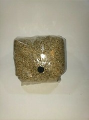 Mushroom grain spawn bag and super substrate kit.2LB grain 4LB substrate.