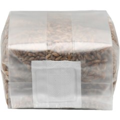 Sterilized Rye Berry Mushroom Substrate (6 pack)