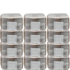 12-Pack Sterilized Rye Berry Grain Spawn – 1 lb Bags (No Injection Ports)