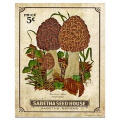 Vintage Kansas Seed Packet Morel Mushrooms Art Print 11×14 Kitchen Wall Decor
