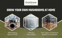8 X Mini All In One Mushroom Grow Bags