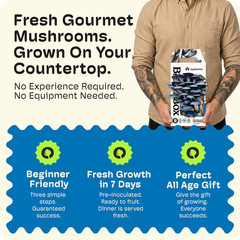 Bloombox Blue Oyster Mushroom Grow Kit – Spray & Grow – Pre-Inoculated Indoor Mu