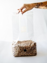 5lb Milo Sorghum Grain Spawn