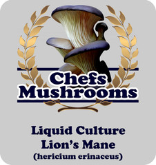 Lion’s Mane Liquid Culture – 12cc Syringe – 10 Pack – Chefs Mushrooms