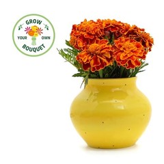 Organic Marigold Flower Grow Kit with Plantable Starting Marigold Flower Kit