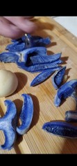 Indigo Milkcap Mushroom (Lactarius indigo) Colonized Grain Spawn, 1 Quart