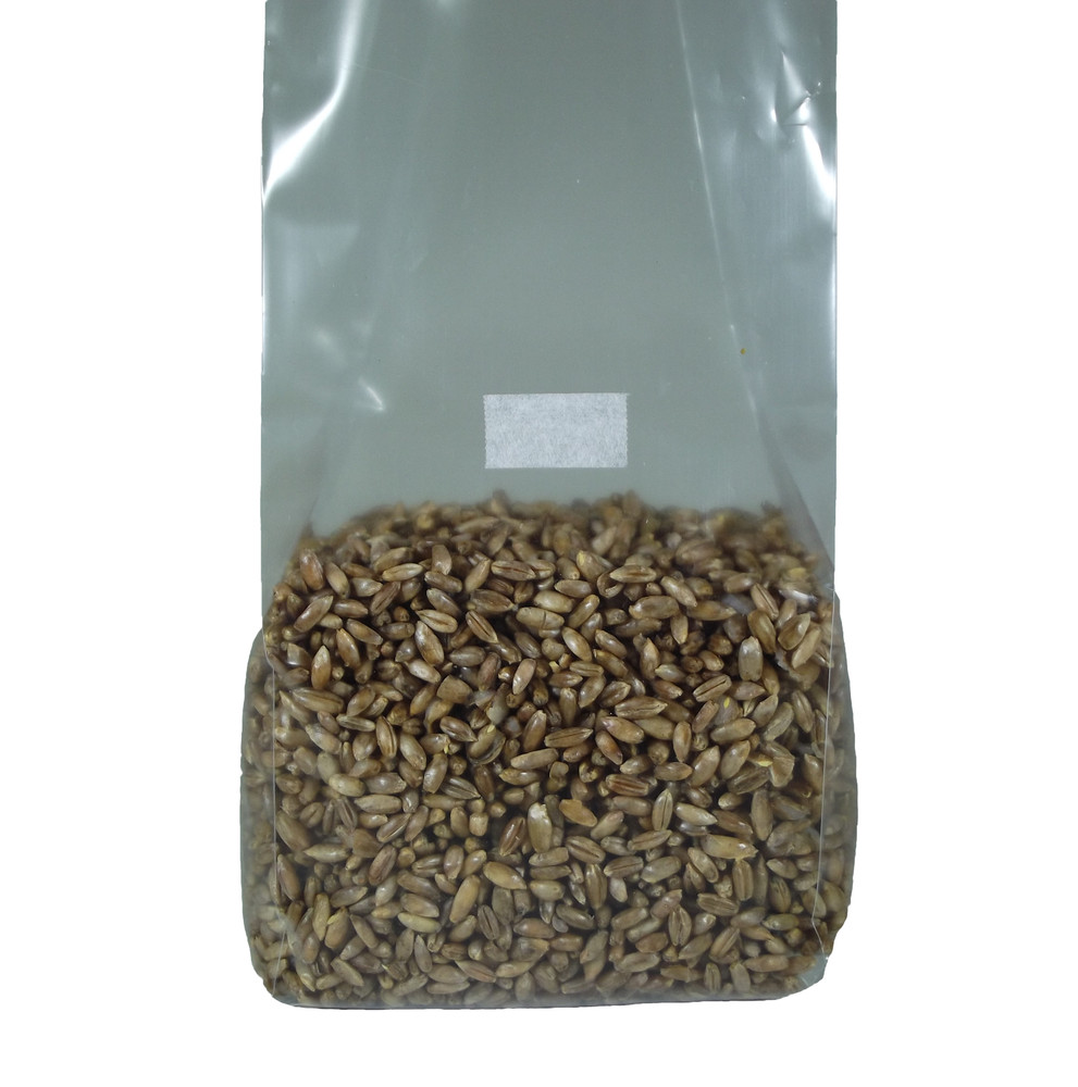 Sterilized Rye Berry Mushroom Substrate