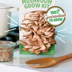 Organic Oyster Mushroom Grow Kit, Harvest Gourmet Mushrooms in 10 Days